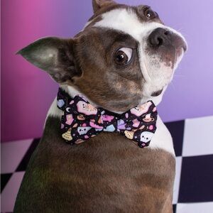 NWOT medium sized dog collar with removable bow